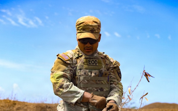 1600th EOD Company Perform Disposal Operations