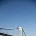 Nimitz Anchors in New York Harbor During International Naval Review 250