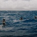 U.S. Navy, U.S. Marine Corps, Royal New Zealand Navy EOD technicians conduct mine countermeasures training during RIMPAC 26