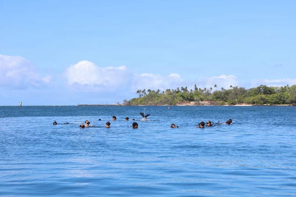 U.S., Canadian and New Zealand divers participate in handheld sonar training during RIMPAC 2026