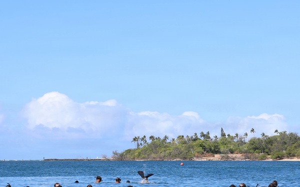 U.S., Canadian and New Zealand divers participate in handheld sonar training during RIMPAC 2026