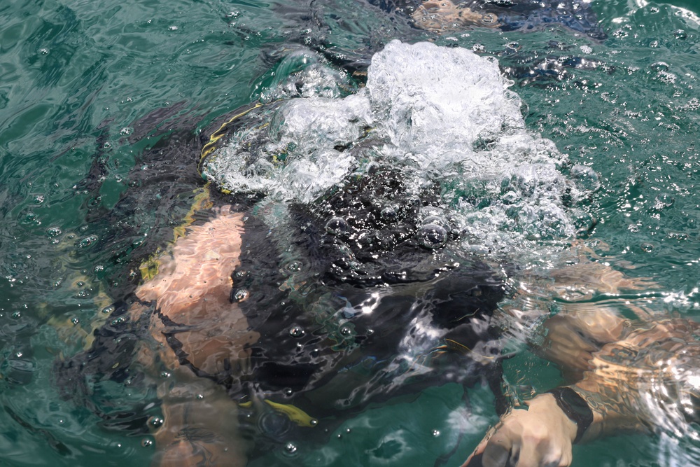 U.S., Canadian and New Zealand divers participate in handheld sonar training during RIMPAC 2026