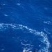 U.S. Navy, U.S. Marine Corps, Royal New Zealand Navy explosive ordnance disposal technicians conduct mine countermeasures training during RIMPAC 26