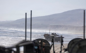 BLT 2/4 Conducts a Ship to Shore Movement Aboard USS Anchorage