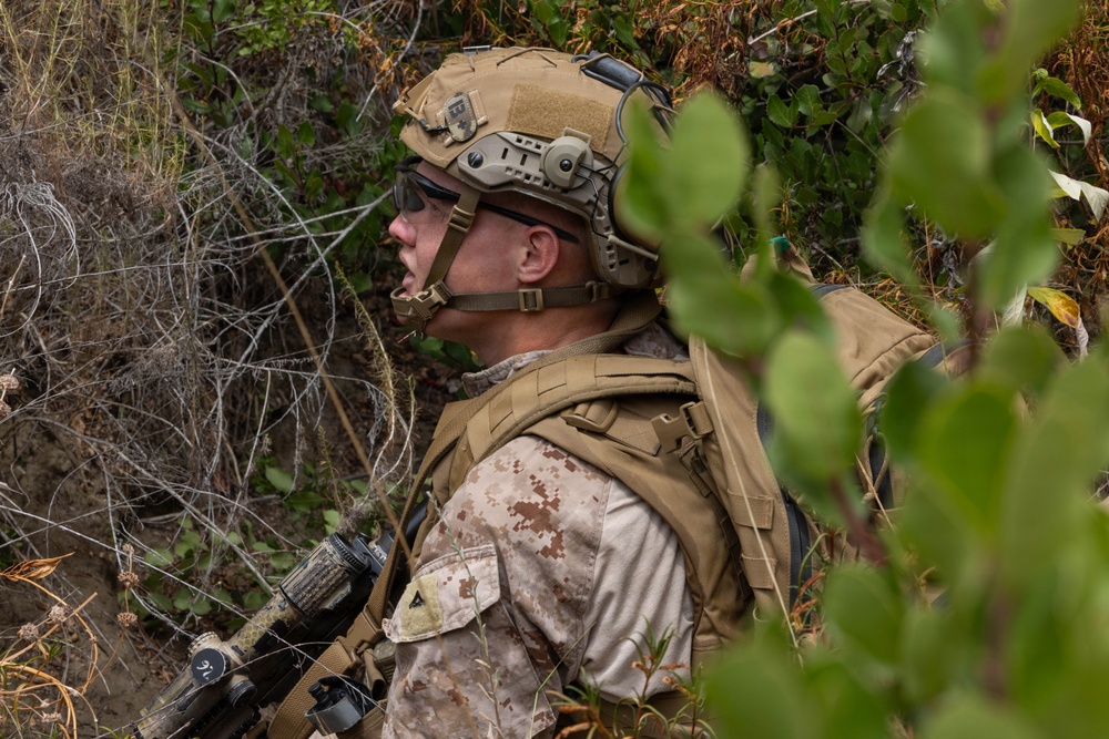 BLT 2/4 conducts a vertical assault Raid