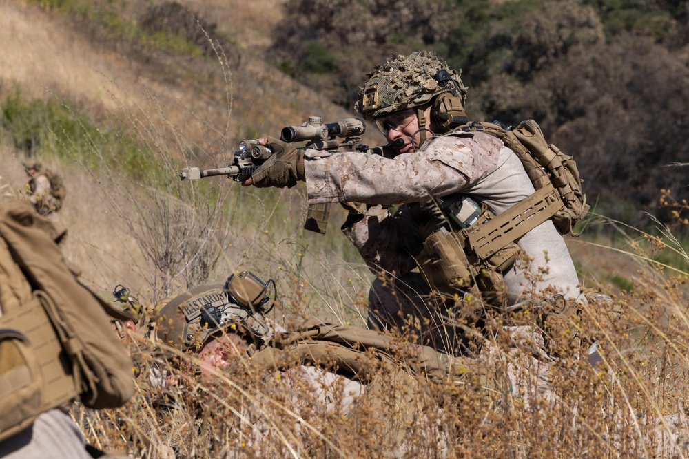 BLT 2/4 conducts a vertical assault Raid