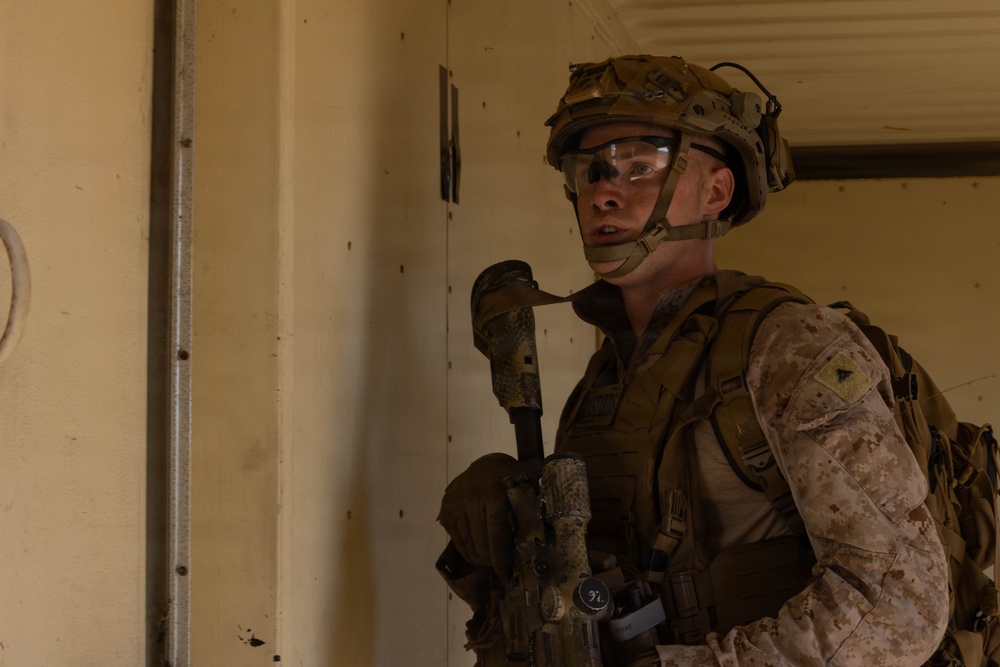 BLT 2/4 conducts a vertical assault Raid
