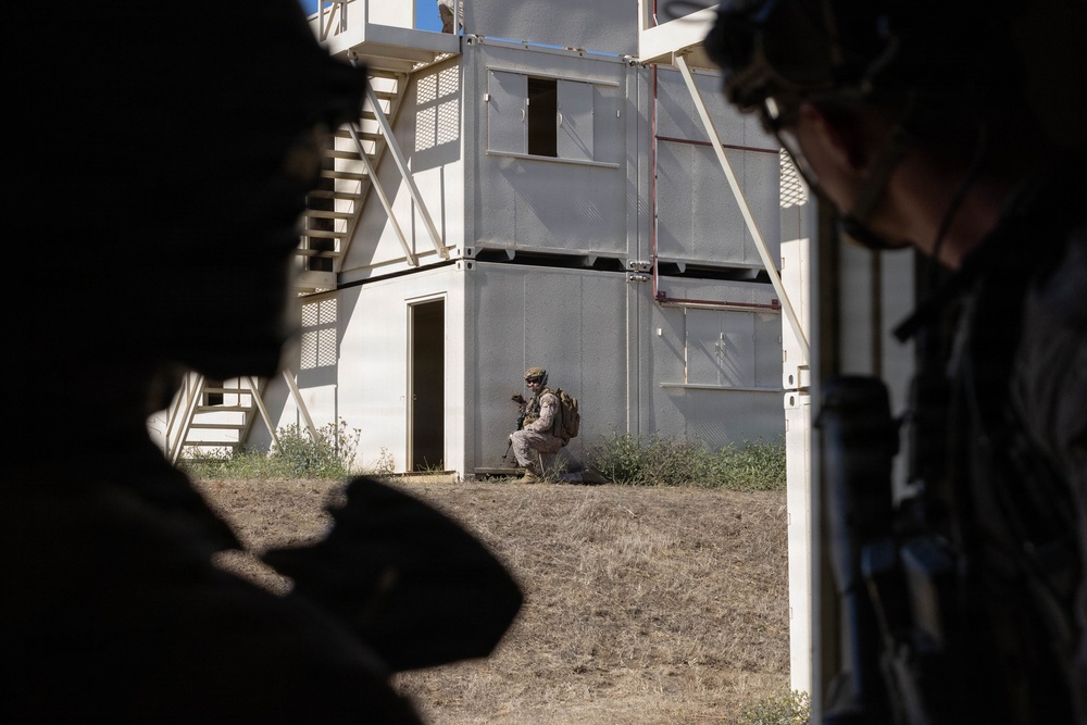 BLT 2/4 conducts a vertical assault Raid