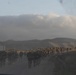 BLT 2/4 conducts a vertical assault Raid