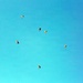 4th of July Special Forces Airborne Jump