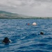 U.S. Navy, U.S. Marine Corps, and Royal New Zealand Navy EOD technicians conduct mine countermeasures training during RIMPAC 26