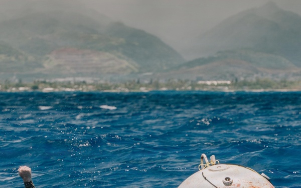 U.S. Navy, U.S. Marine Corps, and Royal New Zealand Navy EOD technicians conduct mine countermeasures training during RIMPAC 26