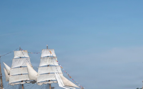 U.S. Coast Guard Cutter Eagle sails past the Statue of Liberty during Sail 250