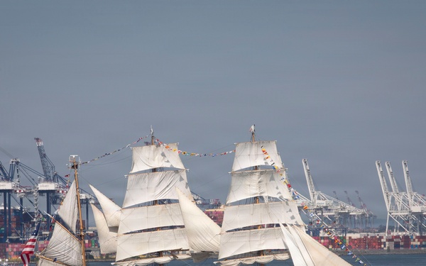 CNO Participates in International Fleet Review 250