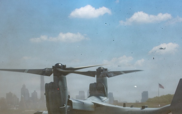 INR 250 Static Display at Liberty state Park