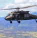 Tropic Lightning aviators mark America’s 250th with Independence Day flyover