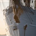U.S. Coast Guard Sail 250 New York