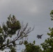 JTF-DC ensures safety during America's 250th Birthday