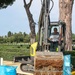 2026 Europe-Mediterranean Disinterment Team Begins Exhumations at the Sicily-Rome American Cemetery