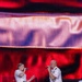 Salute to America Performance on July 4, 2026