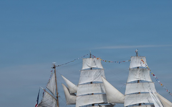 U.S. Coast Guard supports Sail 250 Parade of Sail in New York