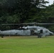 Eisenhower Park Aerial Display