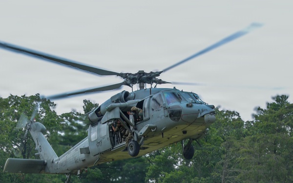 Eisenhower Park Aerial Display
