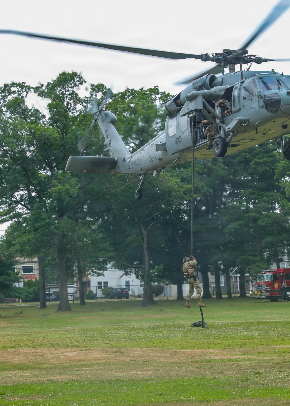 Eisenhower Park Aerial Display