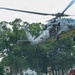 Eisenhower Park Aerial Display