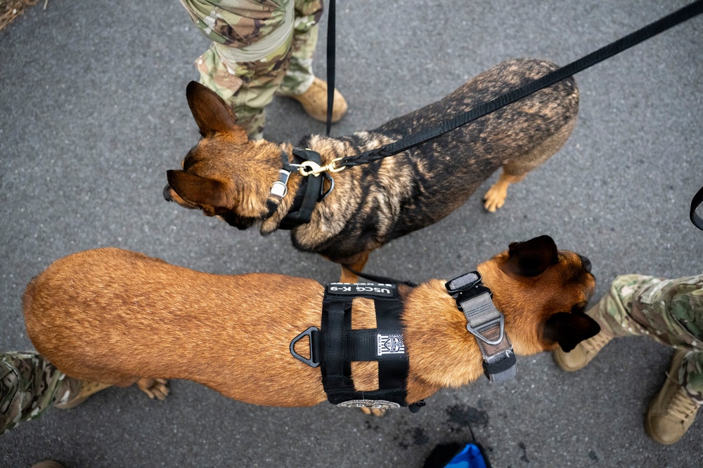 Coast Guard working dogs support FIFA World Cup security