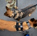 Coast Guard working dogs support FIFA World Cup security