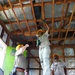 U.S., Papua New Guinea engineers prepare Igam Barracks classrooms for renovation during Tamiok Strike 26