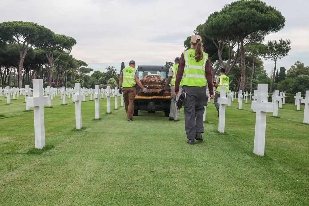 2026 Europe-Mediterranean Disinterment Team Completes Sicily-Rome American Cemetery Exhumations