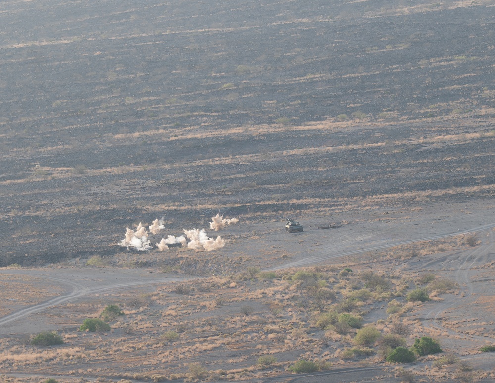 U.S. - French JTACs Conduct Live Fire Training