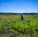 Mentor Marsh Flowering Rush Treatment