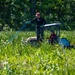 Mentor Marsh Flowering Rush Treatment