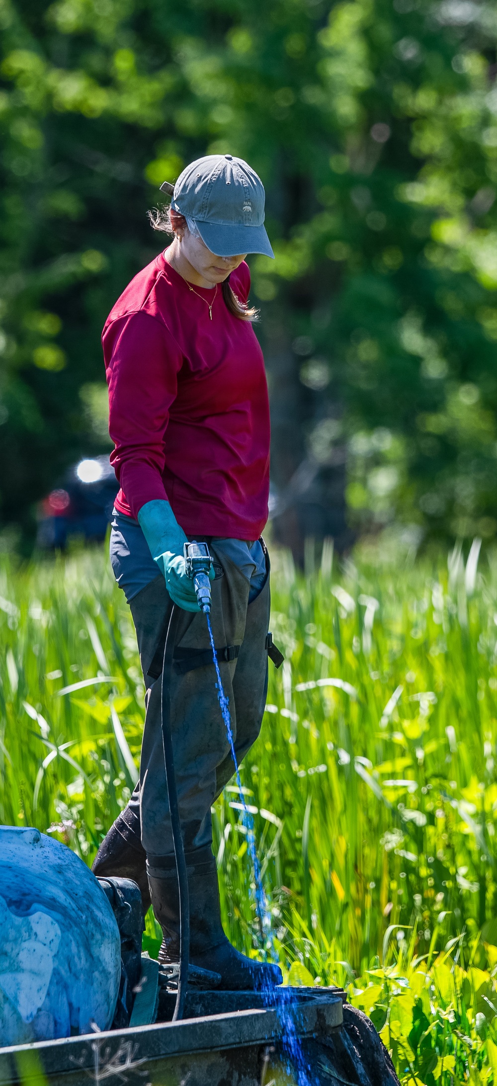 Mentor Marsh Flowering Rush Treatment