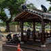 ROK Navy Sailors construct a pagoda at Pearl Harbor for RIMPAC 2026