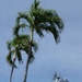 HMCS Regina departs Pearl Harbor-Hickam during RIMPAC 2026