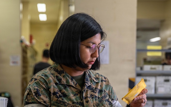 MCAS Iwakuni Post Office Field Exercise