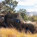 Southern Jackaroo 26: MRF-D Marines conduct live-fire range