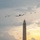 America 250 HUGE 1 Flyover