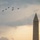 America 250 HUGE 1 Flyover