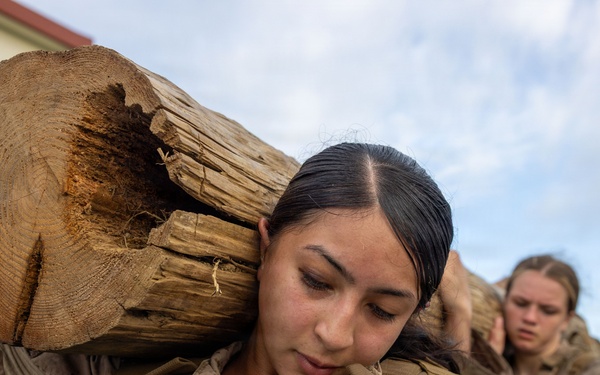 U.S. Marines Participate in a MCMAP Culminating Event