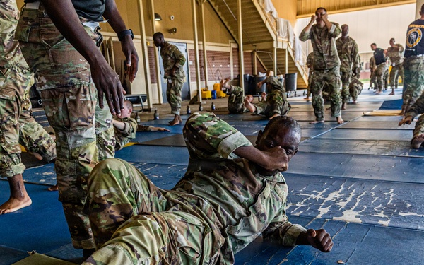 2025 07 01 197th Infantry Brigade Combatives Training