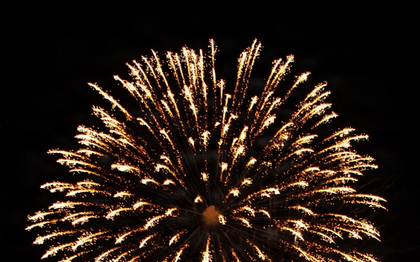Freedom Festival