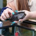 Fort Meade Nature Day
