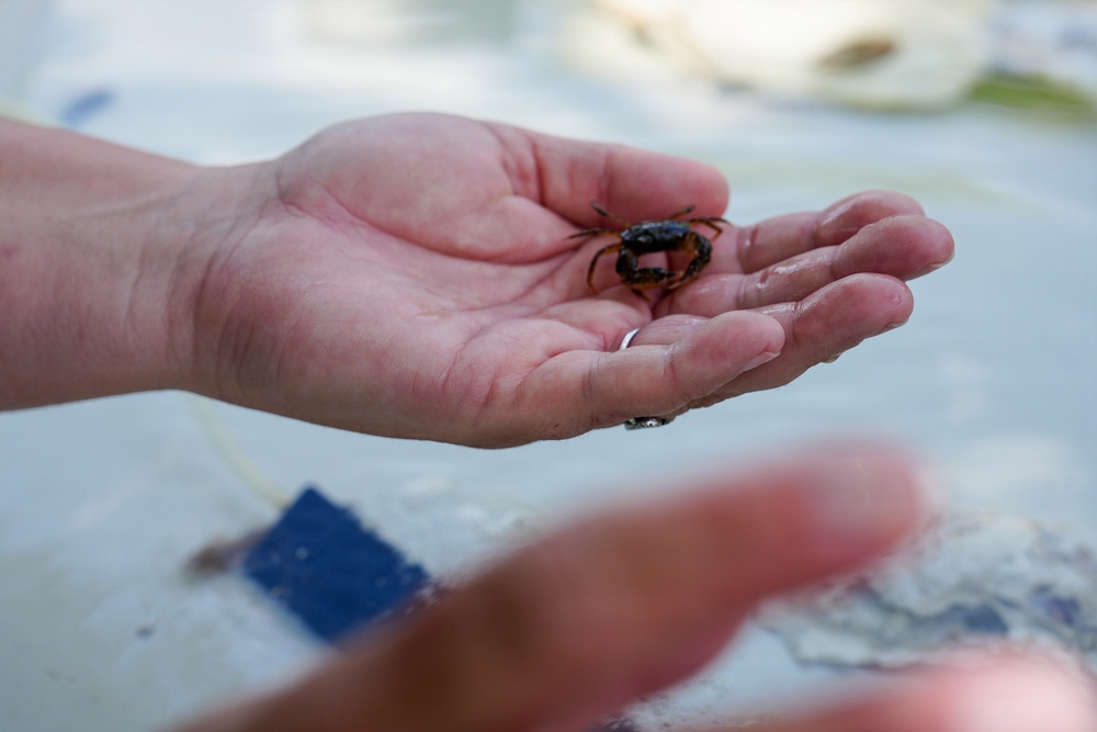 Fort Meade Nature Day