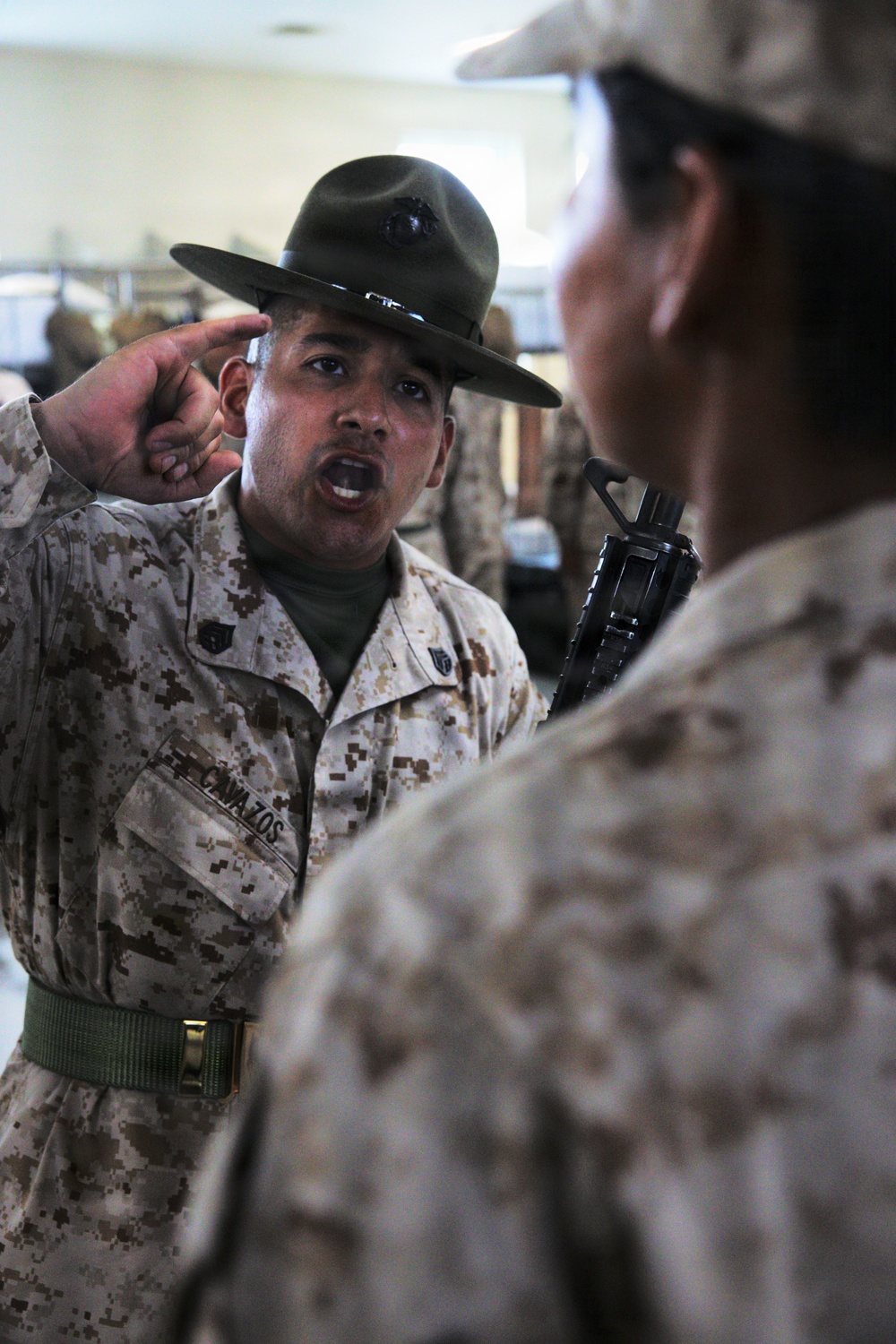 India Company Inspection