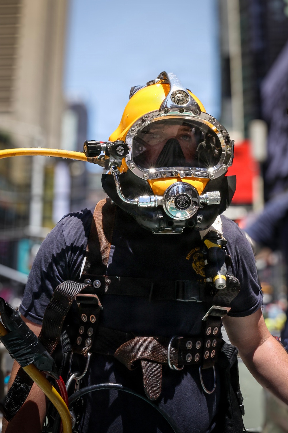 International Naval Review 250 - Dive Tank
